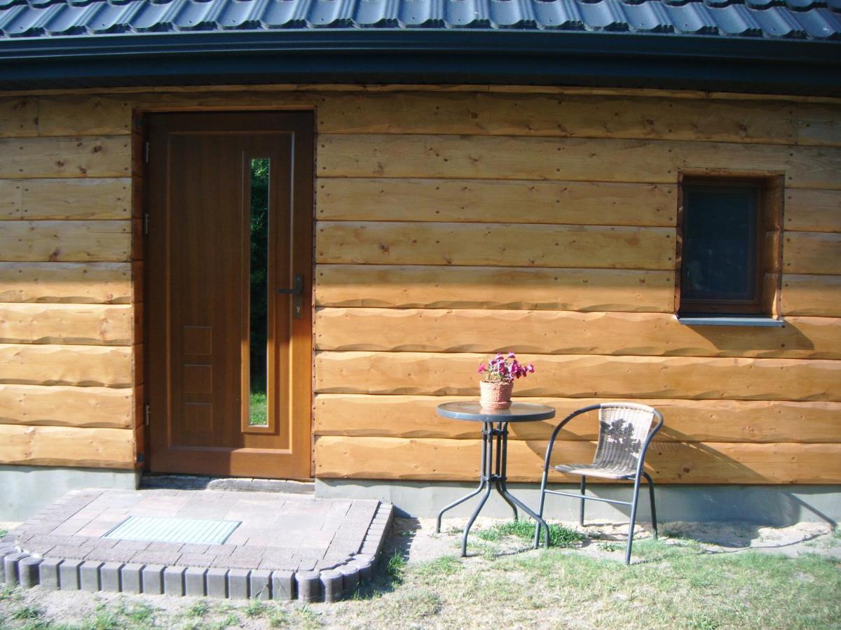 Villa Gosciniec Koden Esterno foto