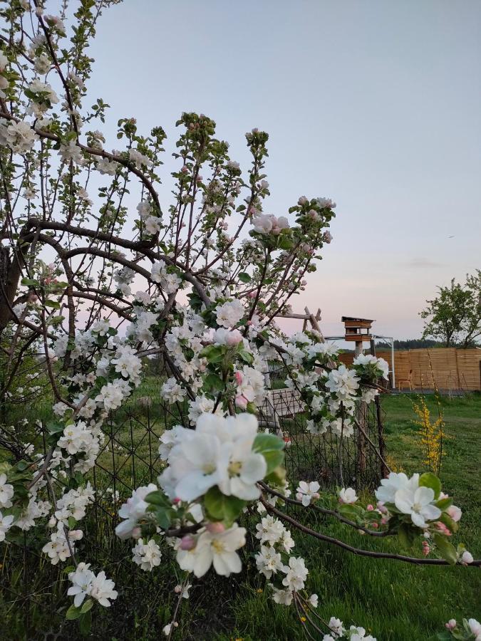 Villa Gosciniec Koden Esterno foto